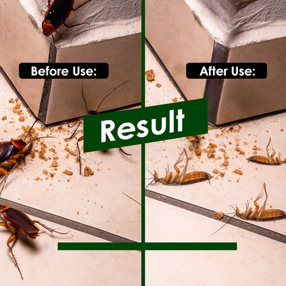 Cockroach Killer Mega Jel™ Pack 12 🪳💥(Buy 1 Get 1 Free)