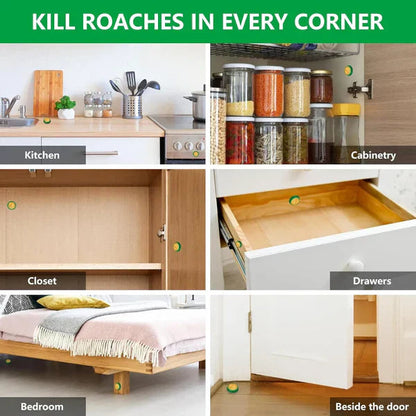 Cockroach Killer Mega Jel™ Pack 12 🪳💥(Buy 1 Get 1 Free)